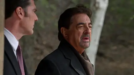 Criminal Minds S10E13