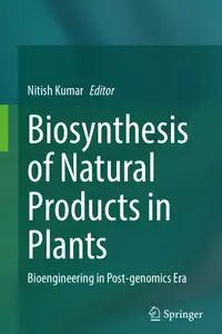 Biosynthesis of Natural Products in Plants: Bioengineering in Post-genomics Era