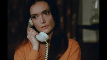Sinner: The Secret Diary of a Nymphomaniac (1973)