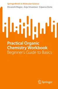 Practical Organic Chemistry Workbook: Beginner's Guide to Basics (SpringerBriefs in Molecular Science)
