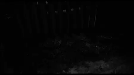 Eraserhead (1977)