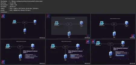 Real Nmap : Elite Network Scanning & Recon In 10 Hours|Cnmp+