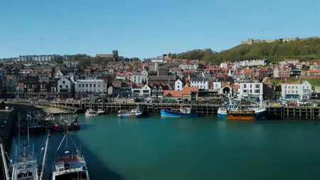 BBC - Surviving the Post Office (2024)
