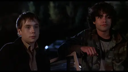 Drive Me Crazy (1999)