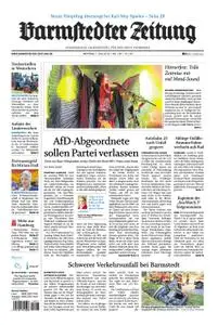 Barmstedter Zeitung - 01. Juli 2019