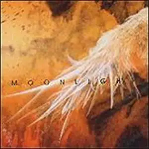 Brian Crain - Moonlight (2000)  (repost)