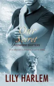 «Our Secret» by Lily Harlem