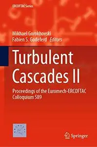 Turbulent Cascades II: Proceedings of the Euromech-ERCOFTAC Colloquium 589 (Repost)
