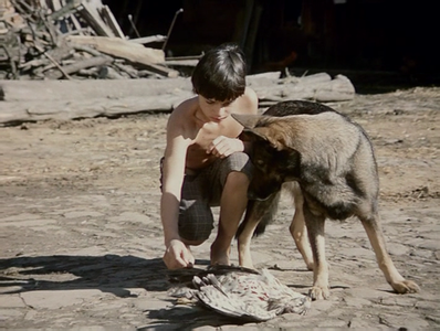 Stíny horkého léta / Shadows of a Hot Summer (1978)