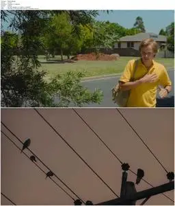 The Black Balloon (2008)