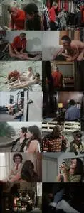 Making of a Prostitute / Die Spalte (1971)
