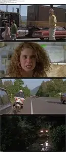 The Vanishing (1993)