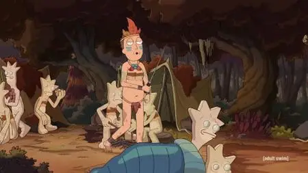 Rick and Morty S04E09