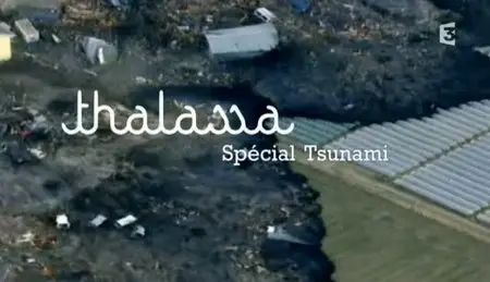 (Fr3) Thalassa du 11-03-2011 : Spécial Tsunami (2011)