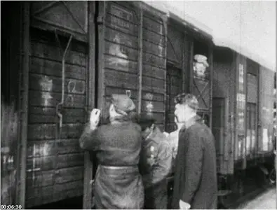 Night and Fog (1955)