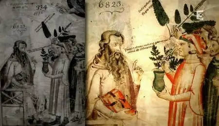 (Fr3) Mauvaises herbes (2011)