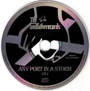 Led Zeppelin - Any Port in a Storm: The Lost Soundboard Show (2007)
