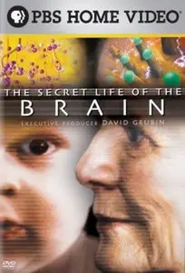 The Secret Life of the Brain (2009)