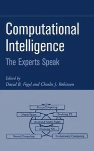 Computational Intelligence: The Experts Speak (Repost)