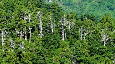 Beyond Beauty: Taiwan from Above (2013)
