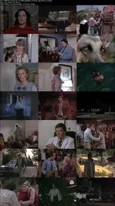 Devil Dog: The Hound of Hell (1978) 