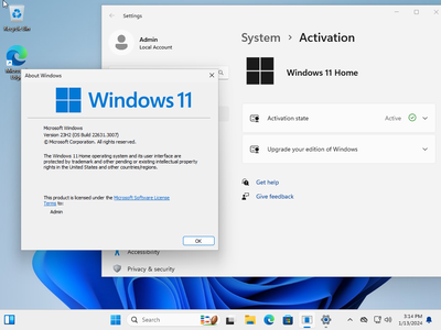 Windows 11 23H2 Build 22631.3007 AIO 13in1 (No TPM Required) Preactivated Multilingual January 2024