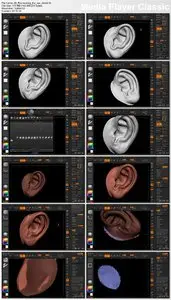 Digital-Tutors - Sculpting Human Ears in ZBrush