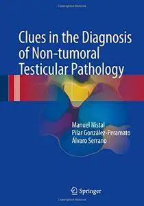 Clues in the Diagnosis of Non-tumoral Testicular Pathology [Repost]