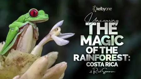 KelbyOne - Uncovering the Magic of the Rainforest: Costa Rica