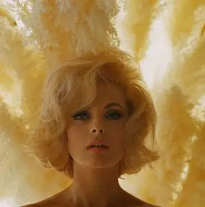 Virna Lisi Collection