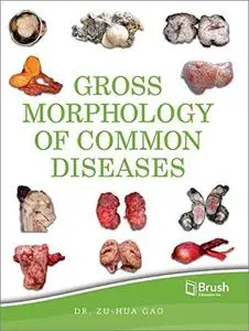 Gross Morphology of Common Diseases