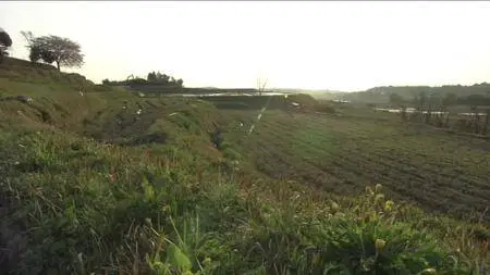 Satoyama: Japan's Secret Water Garden (2004)