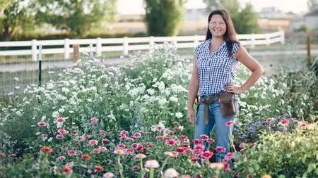 A Beginner's Guide to Growing Roses in a Cold Climate