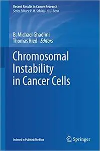 Chromosomal Instability in Cancer Cells (Repost)