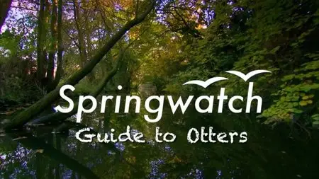 BBC - Springwatch Guide to Otters (2013)