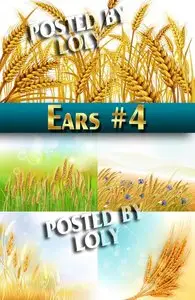 Vector ears #4 - Stock Vector