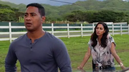 Hawaii Five-0 S10E09