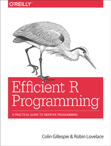 Efficient R Programming : A Practical Guide to Smarter Programming