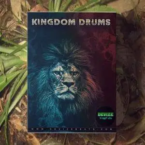 Devize Kingdom Drums WAV