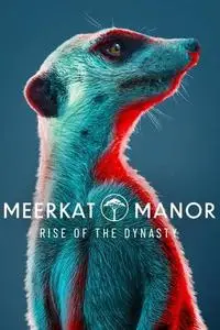 Meerkat Manor: Rise of the Dynasty S01E12