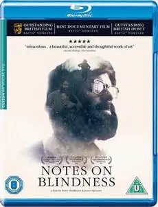 Notes on Blindness (2016)