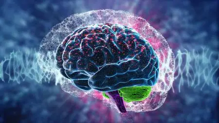 Memory Improvement + Brain Training