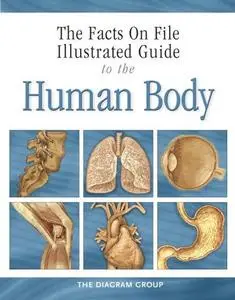 Illustrated Guide To The Human Body