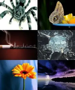 The Best Wallpapers pack №27