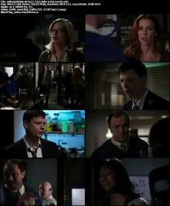 Unforgettable S01E17 "Blind Alleys"