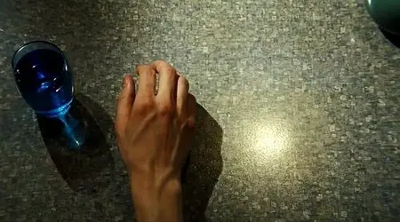 The Double (2013)