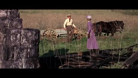 The Ballad of Josie (1967)