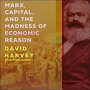 Marx, Capital, and the Madness of Economic Reason [Audiobook]