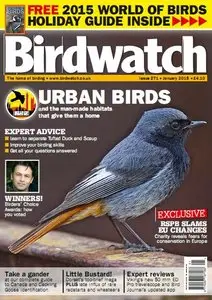 BirdWatch Magazine January 2015 (True PDF)