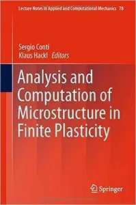 Analysis and Computation of Microstructure in Finite Plasticity (repost)